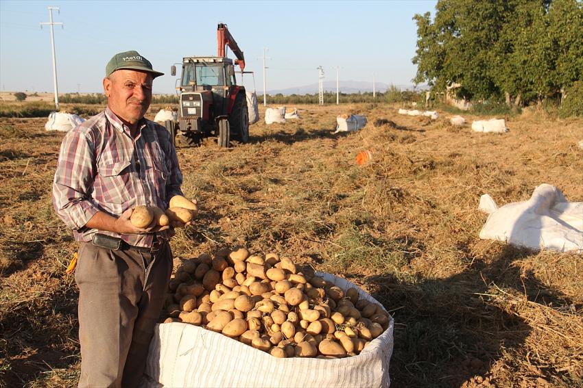 Beyşehir'de cipslik patates hasadı başladı