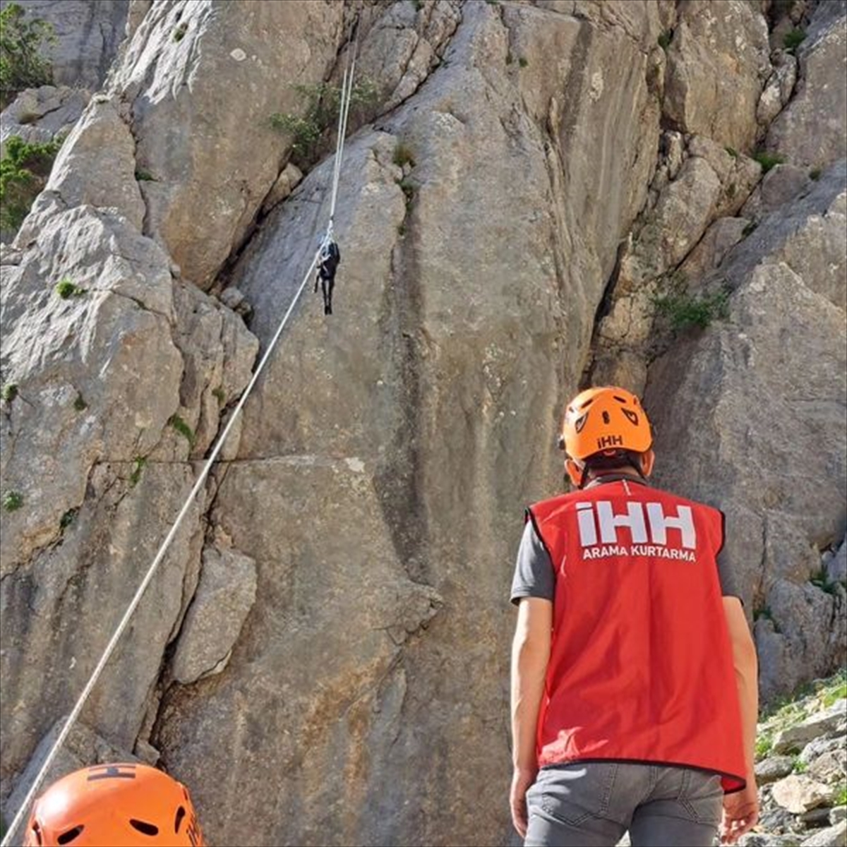 Beyşehir'de kayalıklarda mahsur kalan keçiler kurtarıldı