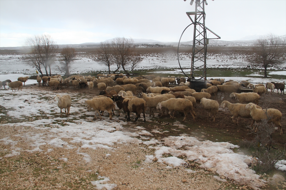 Beyşehir'de koyunların içme su ihtiyacı güneş ve rüzgar enerjisinden karşılanıyor