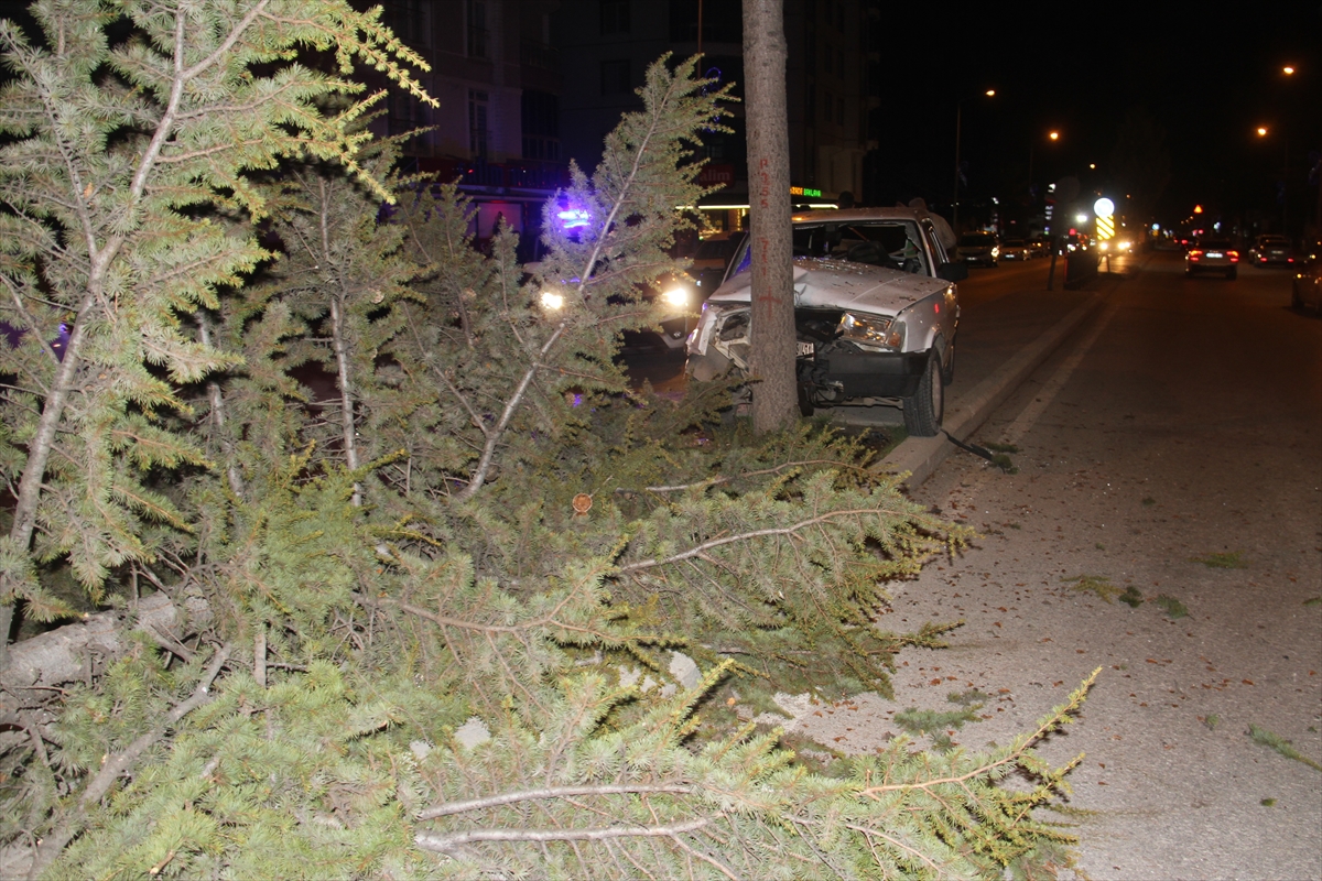 Beyşehir'de refüjdeki ağaca çarpan araçtaki 6 kişi yaralandı