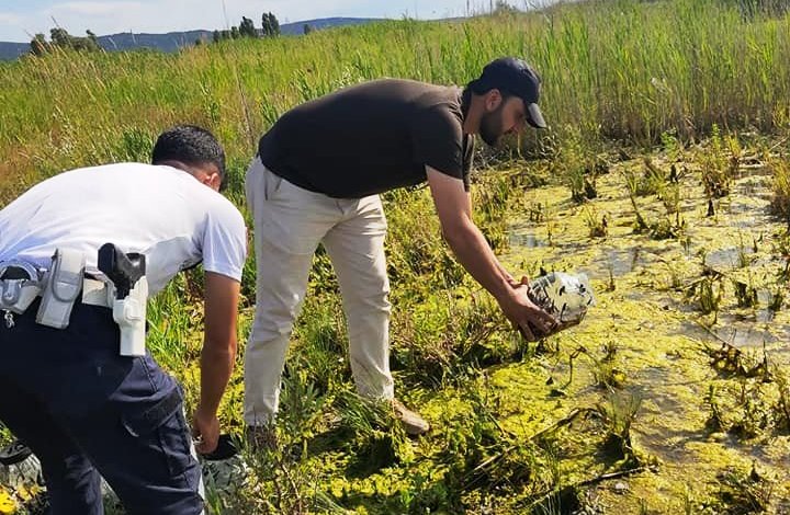 Beyşehir'de yasa dışı ava ceza! 2 bin sülük göle geri bırakıldı
