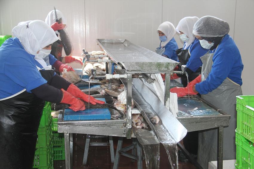    Beyşehir'den 5 ülkeye deniz ürünü ihracatı