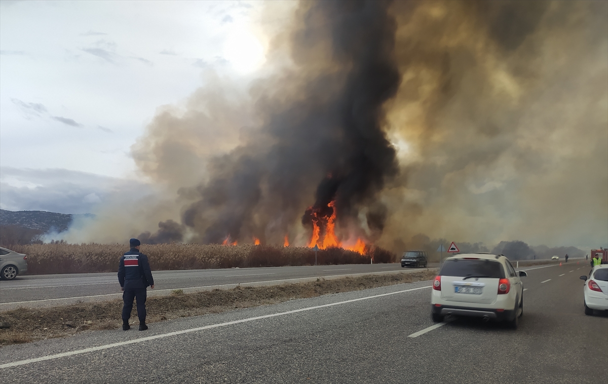 Beyşehir Gölü kıyısında sazlık alanda çıkan yangına müdahale ediliyor