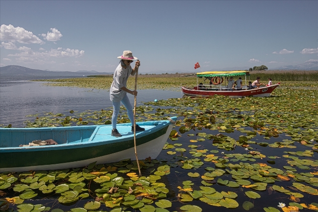 Beyşehir Gölü'nde balıkçı tekneleriyle gezilen nilüferler için tekne turları düzenleniyor