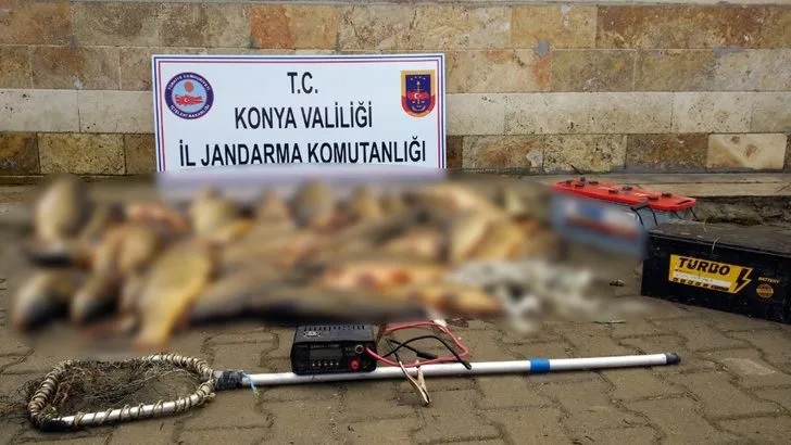 Beyşehir Gölü'nde elektroşok cihazıyla avlanan 2 kişiye 488 bin lira ceza