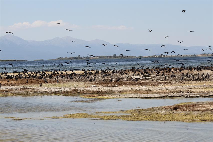  Beyşehir Gölü'nde su seviyesinin düşmesiyle adacıklar ortaya çıktı