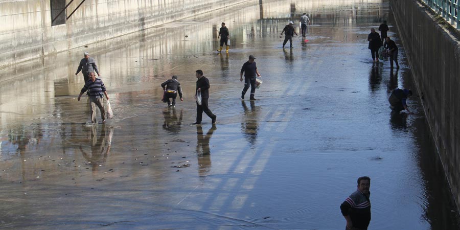 Beyşehir Gölü'nden kanala akan balıklar, görevlilerce toplanıp tekrar sulara salındı