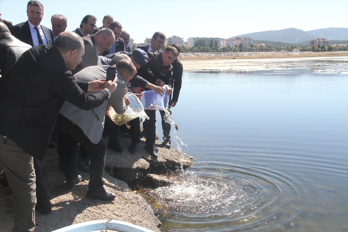 Beyşehir Gölü'ne 2 milyon tane yavru sazan balığı bırakıldı