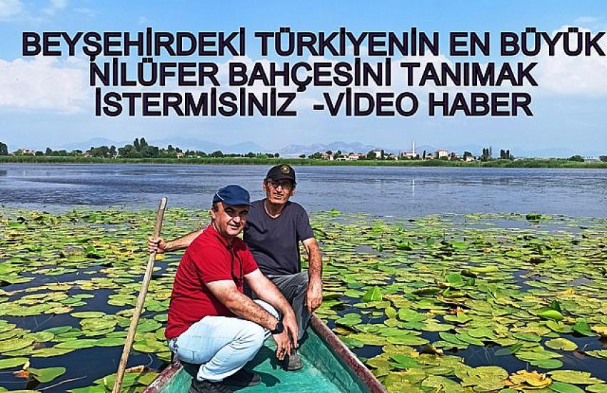 Beyşehirde  Eşsiz güzelliğe sahip nilüferler suda görsel şölen sunuyor  video haber 