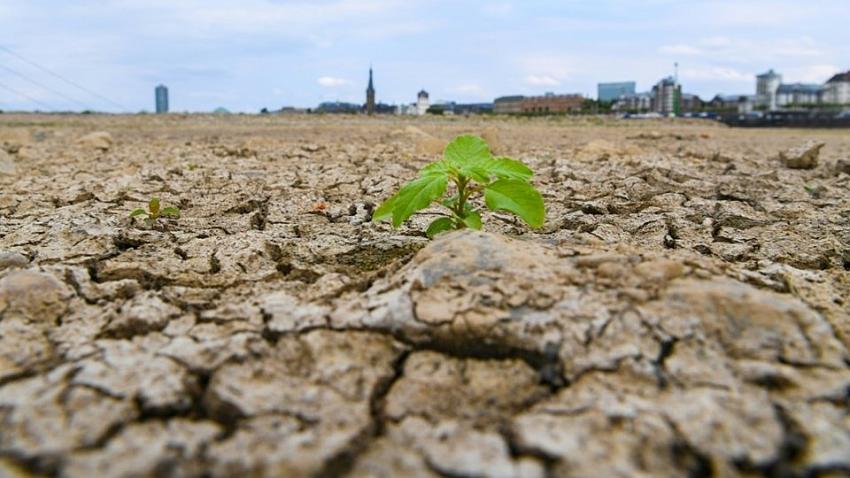 Bilim insanlarından küresel ısınma uyarısı