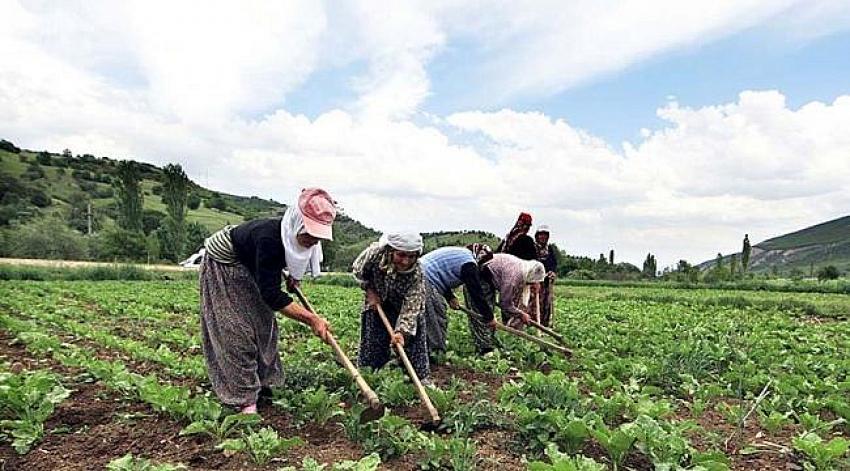 Binlerce çiftçinin tarım kredi borcuna yapılandırma imkanı