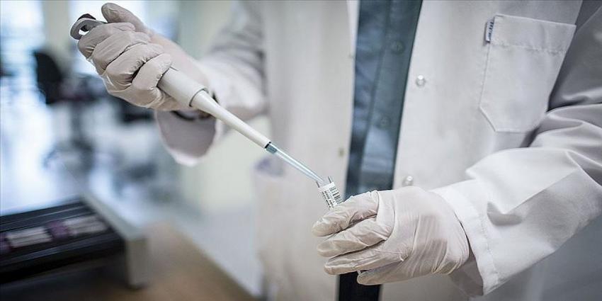 BioNTech aşısı kısırlık yapıyor mu? Araştırma gerçeği ortaya çıkardı