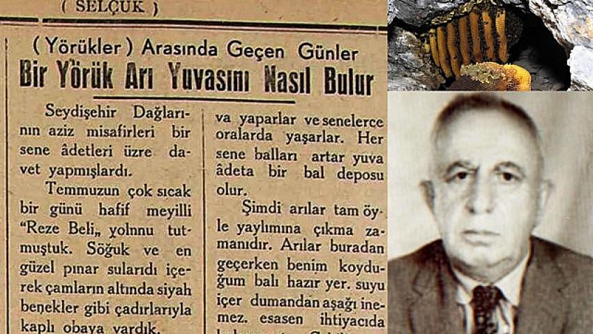 Bir Yörük Arı Yuvasını Nasıl Bulur?