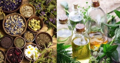 Bitkisel Şampuanlar ile Saçlarınıza Sağlık Katın!