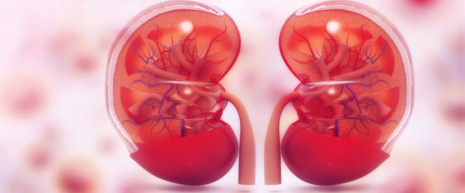 Böbrek yetmezliğinin belirtileri neler?