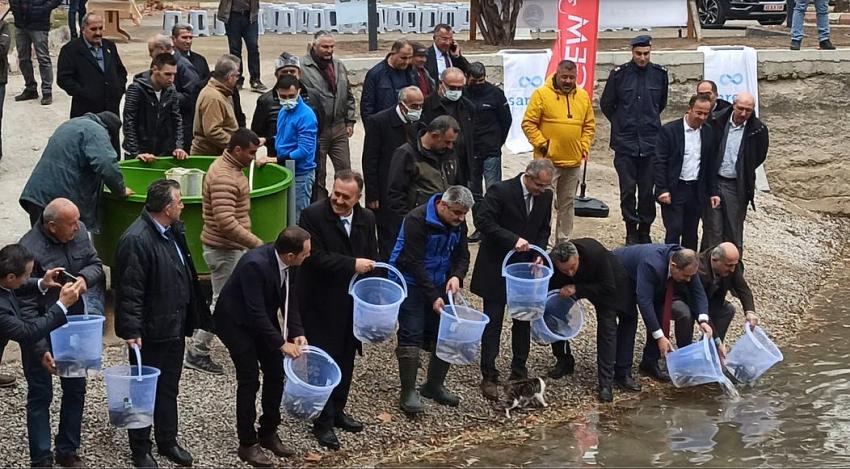 BÖLGENİN EFSANESİ  YAĞ BALIĞI YUVAYA DÖNDÜ