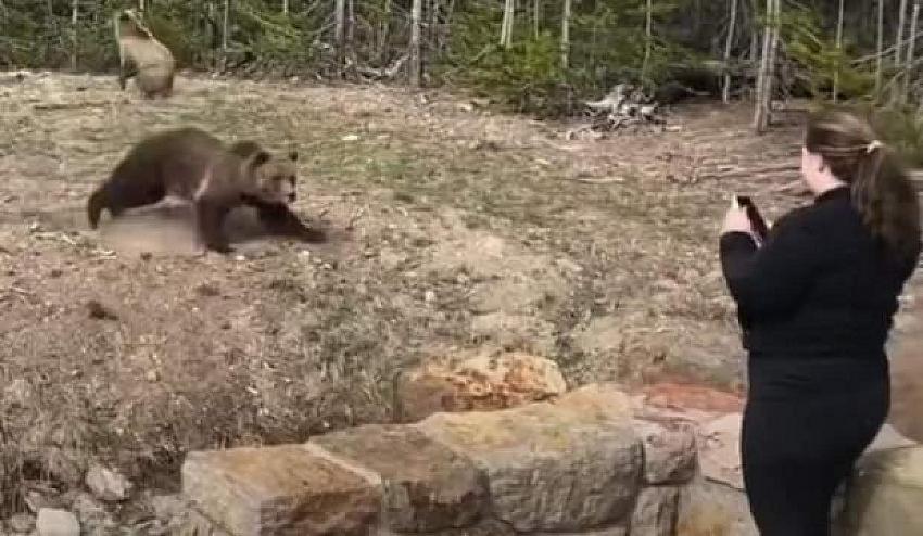 Bozayı ve yavrularına yaklaşıp güçbela kaçan kadına hapis cezası