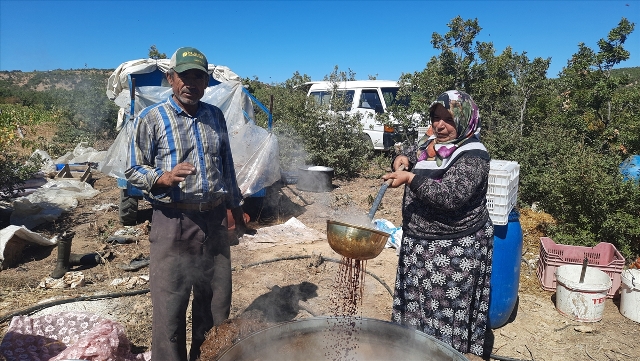 Bozkır'da aileler pekmez kaynatmaya başladı