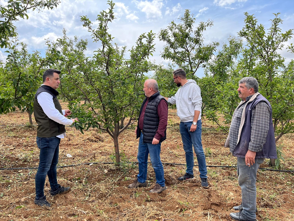 Bozkır'ın kırsal mahallelerindeki tarım arazilerinde dolu zararı oluştu
