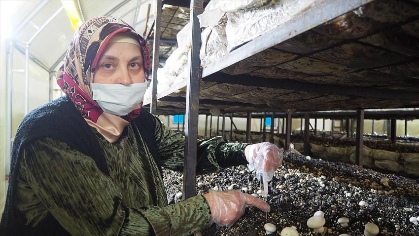 Bozkırda Devlet desteğiyle mantar üretimine başlayan ev hanımı hem eşine hem kadınlara örnek oldu