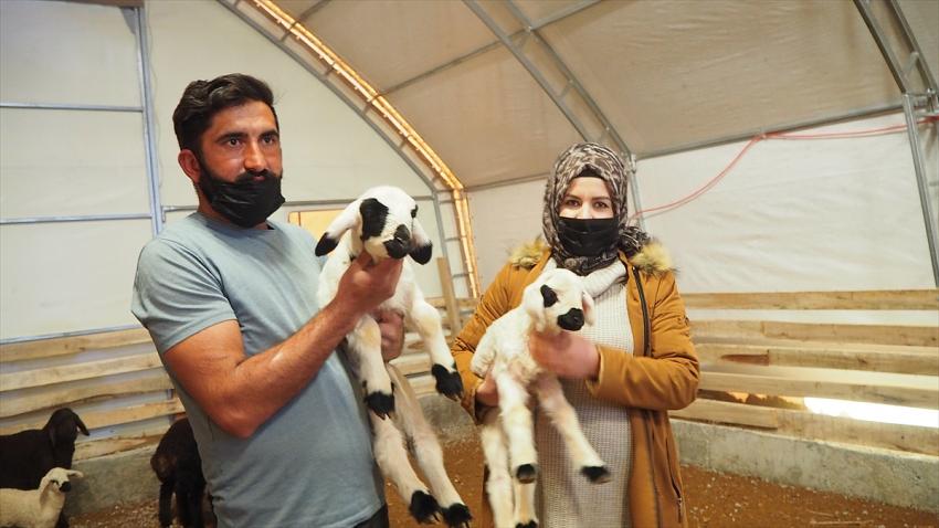  Bozkırda Tarım işçisi devlet desteği sayesinde sürü sahibi oldu