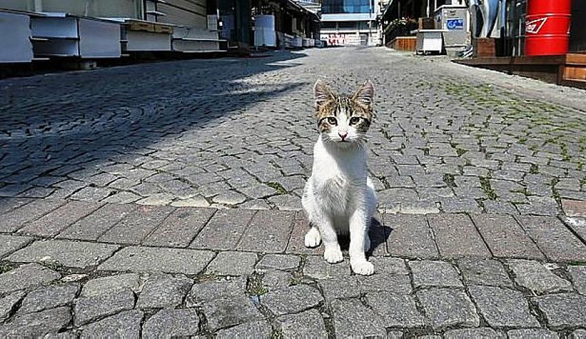 Bu hafta sonu sokağa çıkma yasağı olacak mı? 9-10 Ocak yasak var mı?