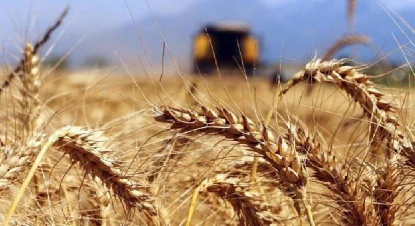 Buğday fiyatında Dünyayı korkutan fiyatlama