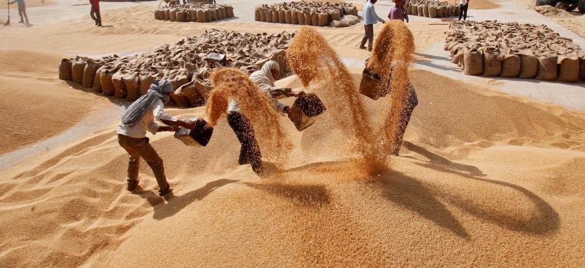 Buğdaya yüzde 22 zam yapıldı, ekmeğe yansıyacak