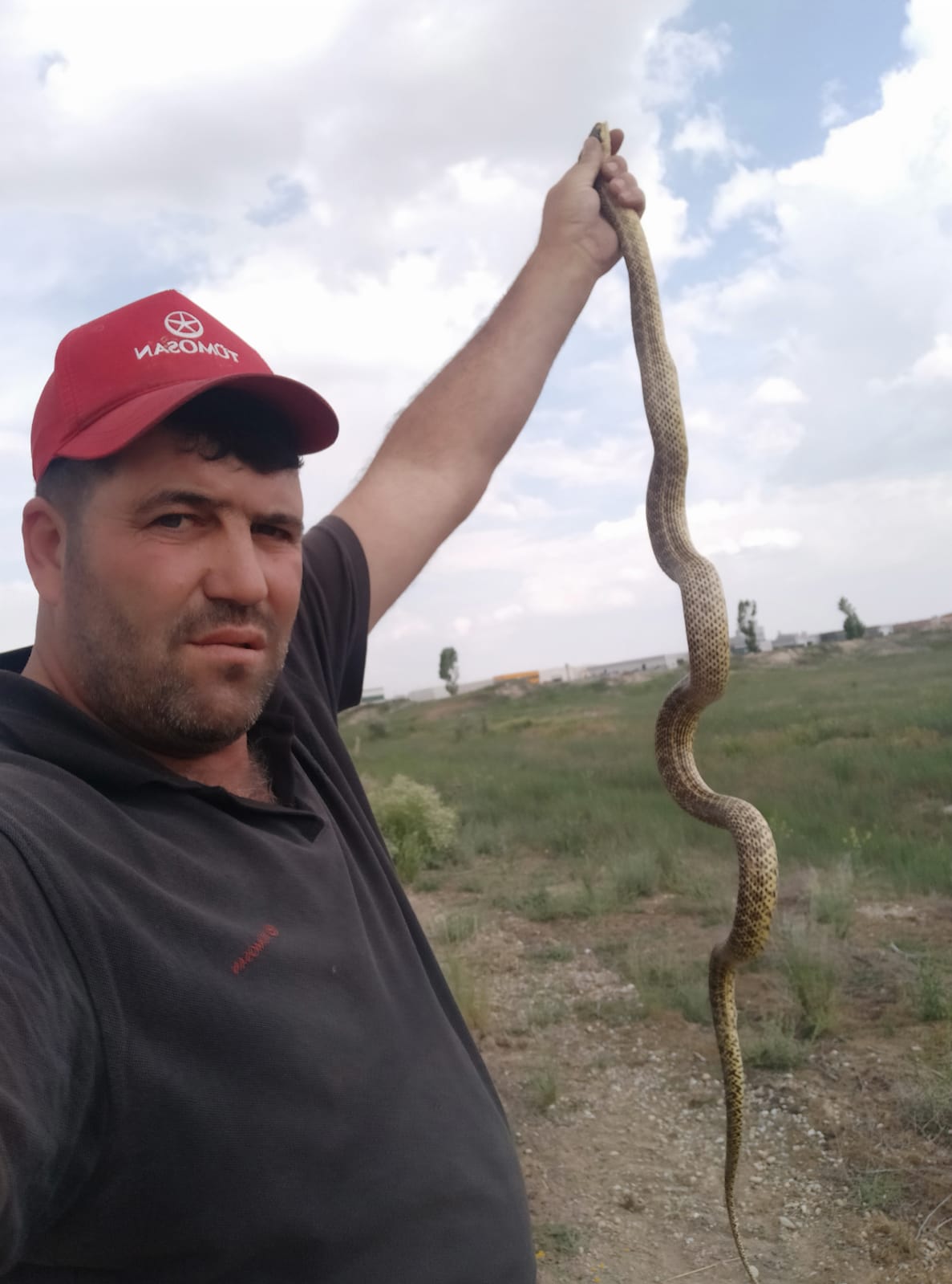 Büyük cesaret! 2 metrelik yılanı eliyle yakaladı!.