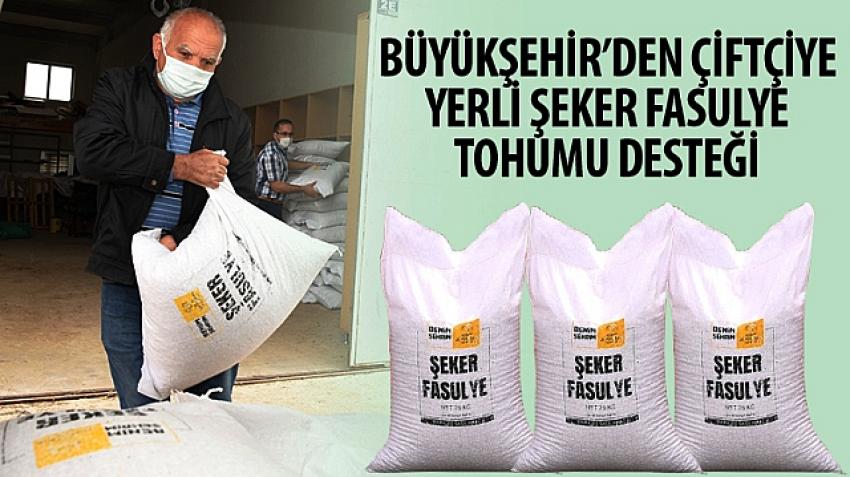 Büyükşehir’den Çiftçiye Yerli Şeker Fasulye Tohumu Desteği