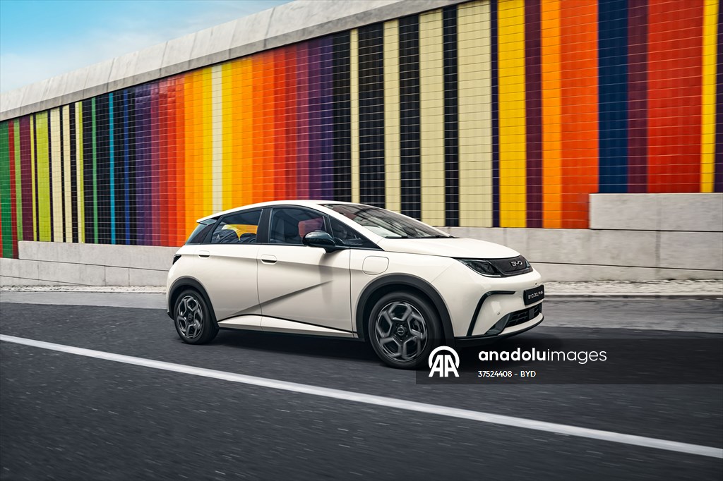 BYD, DOLPHIN modelini ay içinde satışa sunacak