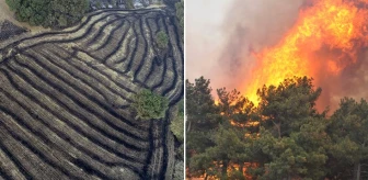 Çanakkale'deki orman yangınına 37 saattir müdahale sürüyor