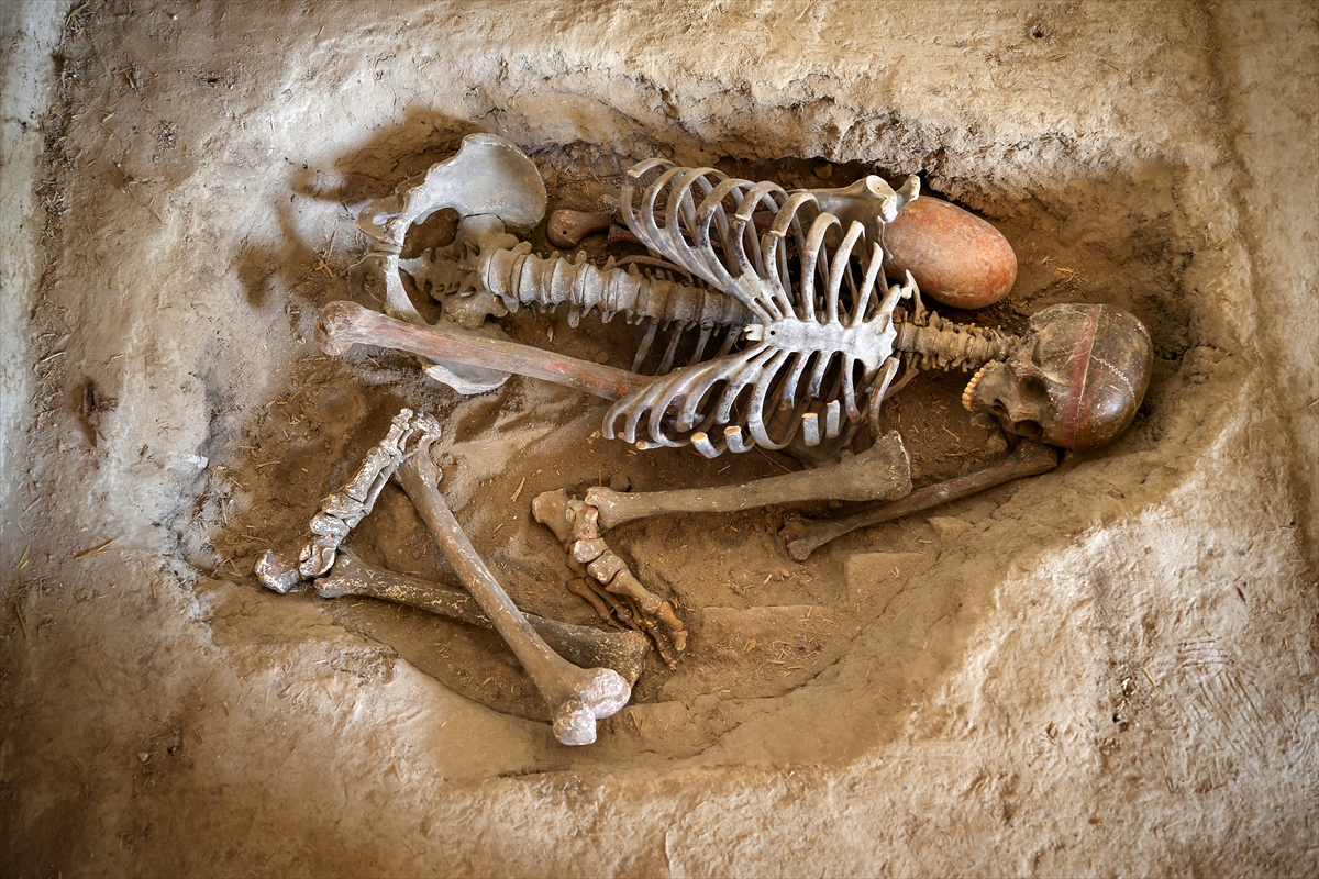 Çatalhöyük'te 8 bin 600 yıllık "ekmek" bulundu