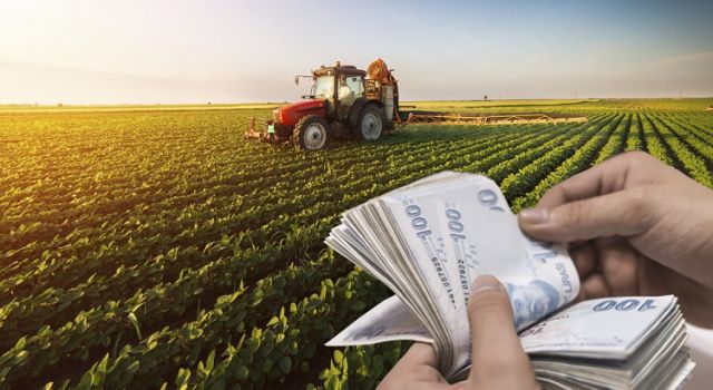 Çiftçilere bu yıl için ödenecek tarımsal destekler belirlendi