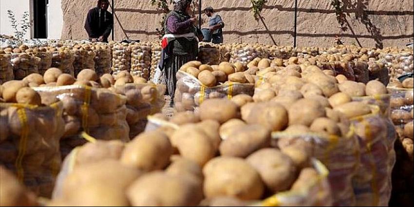 Çiftçiye büyük müjde! Vatandaşa ücretsiz dağıtılacak