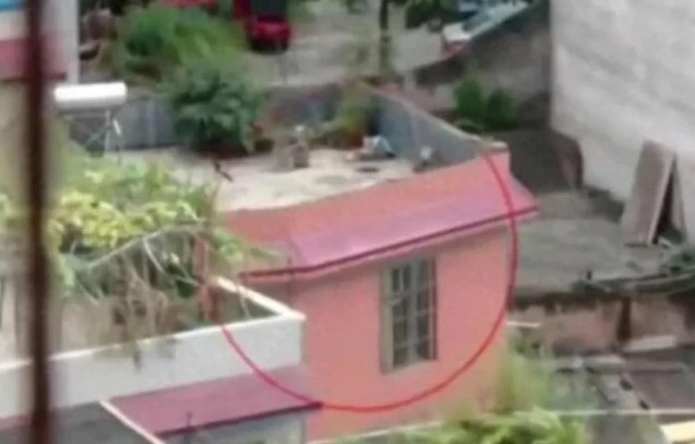 Çin'de bir aile, 17 yıldır aradıkları kızlarını karşı apartmanda buldu