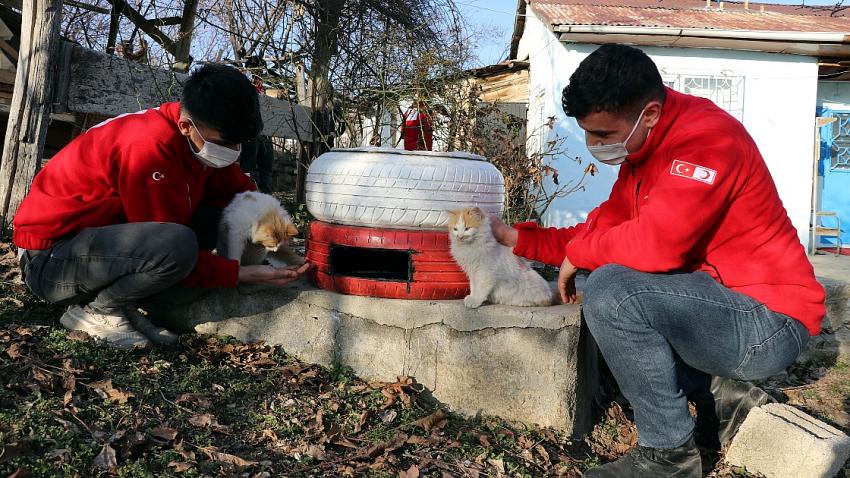 "Çöp diye atılan malzemeler hayvanlara sıcak yuva oldu"