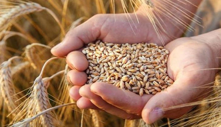 Cumhurbaşkanı Erdoğan, TMO 2022 buğday ve arpa alım fiyatları ile teşvikleri açıkladı