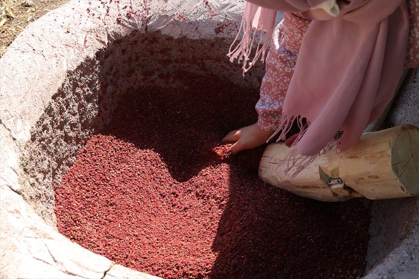 Dağlardan toplanan sumak dibeklerde dövüp işledikten sonra tüketiciye ulaşıyor