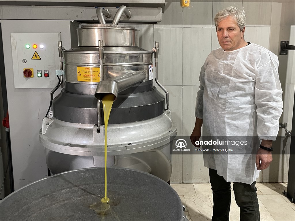 Dedelerinin hayalini gerçekleştiren kardeşler, zeytinyağı ihraç ediyor