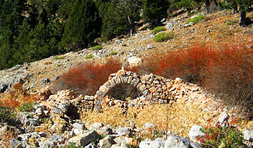 Defineciler  tarihi Nodar Han'ı talan etti