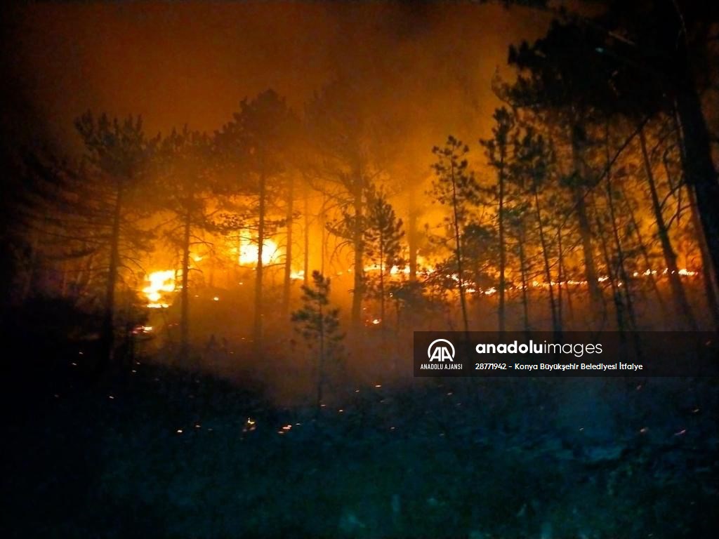 Beyşehirde  ormanlık alanda çıkan yangın söndürüldü