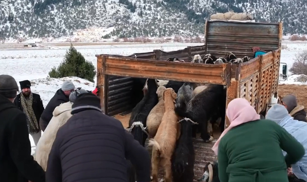 Derebucak'ta Yaylada yoğun kardan mahsur kalan besiciler yol açılarak kurtarıldı