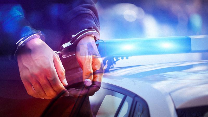 Dev operasyon: 33'ü kırmızı bültenle aranan 34 terörist yakalandı!