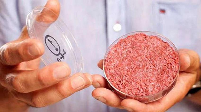 Diyanet’ten 'yapay et' açıklaması! İddialar asılsızdır