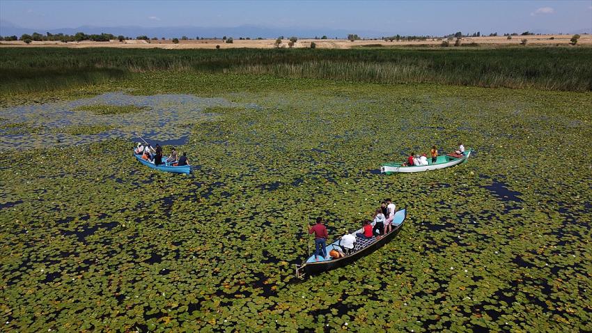  Doğaseverlerin Beyşehir Gölü'ndeki nilüferlere ilgisi, tekne gezilerini artırdı