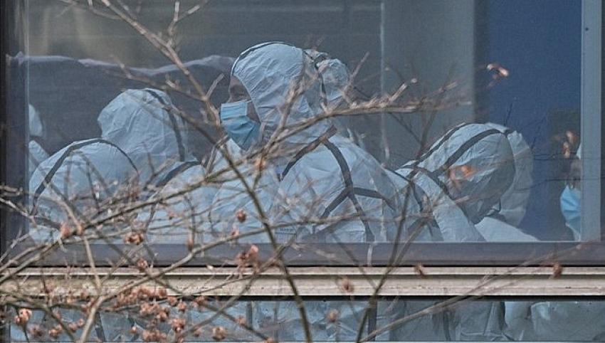 DSÖ’nün Covid-19 raporu: Virüsün kaynağı büyük olasılıkla başka hayvanlar