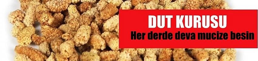  Dut KURUSU Her derde deva mucize besin