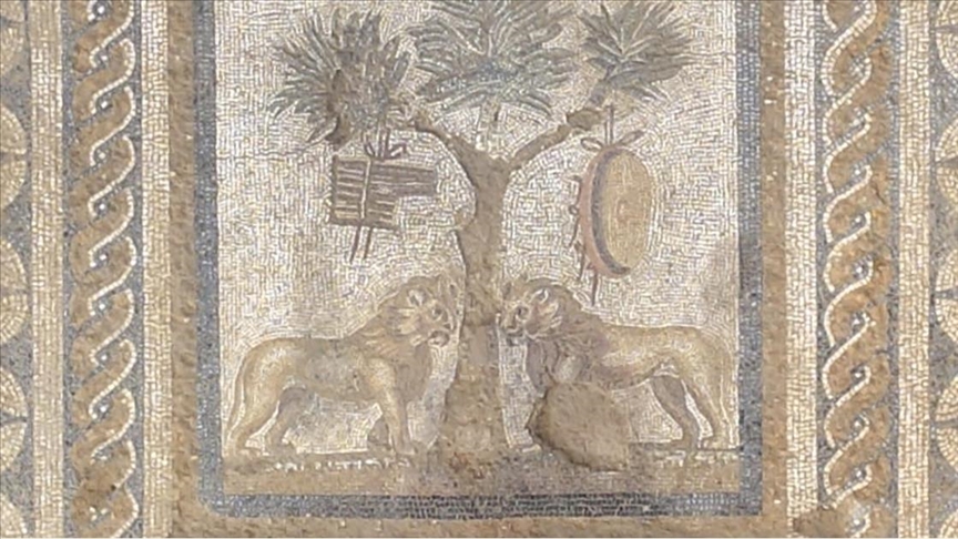 Düzce'de antik kentte "aslanlı mozaik" bulundu