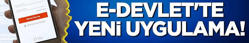 e-Devlet'te yeni uygulama! Kullanıma sunuldu